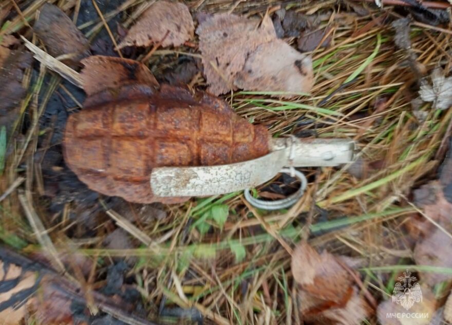 Под Тверью нашли ручную гранату времён войны