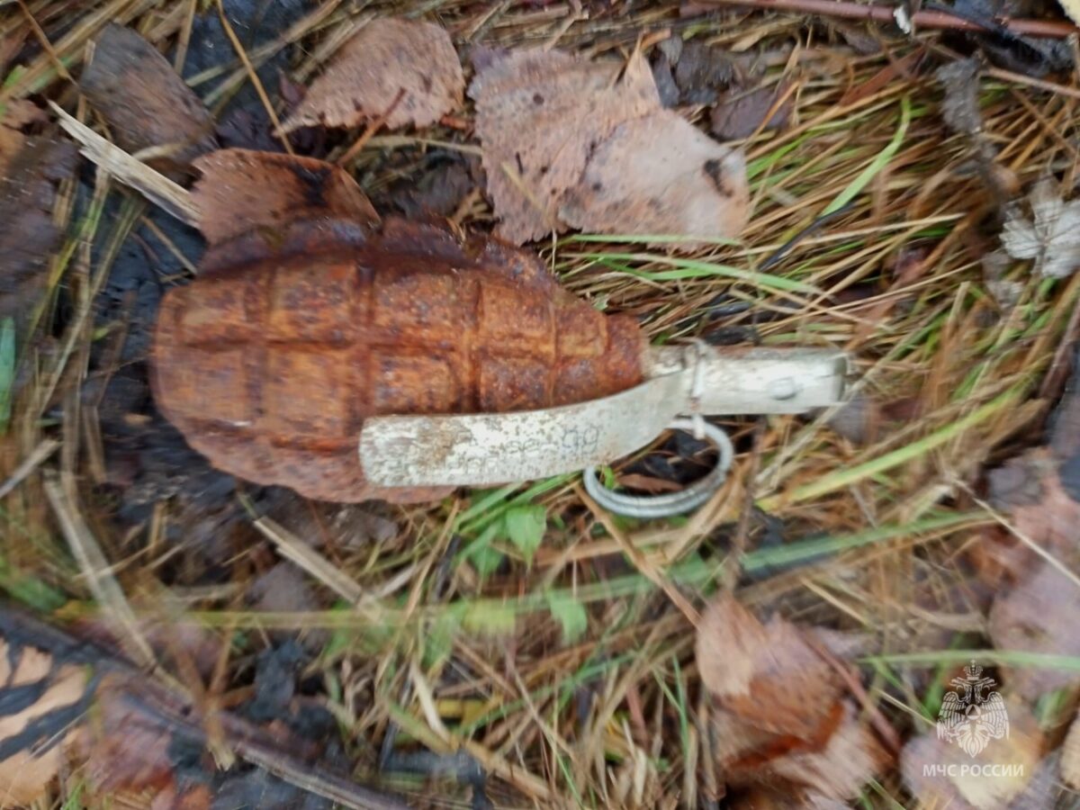 Под Тверью нашли ручную гранату времён войны