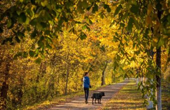 После снега в Тверскую область придет большое потепление
