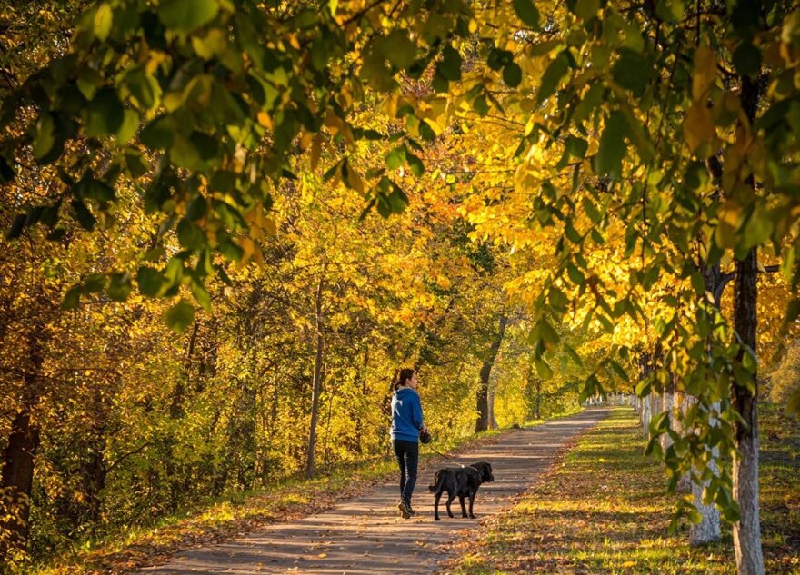 После снега в Тверскую область придет большое потепление