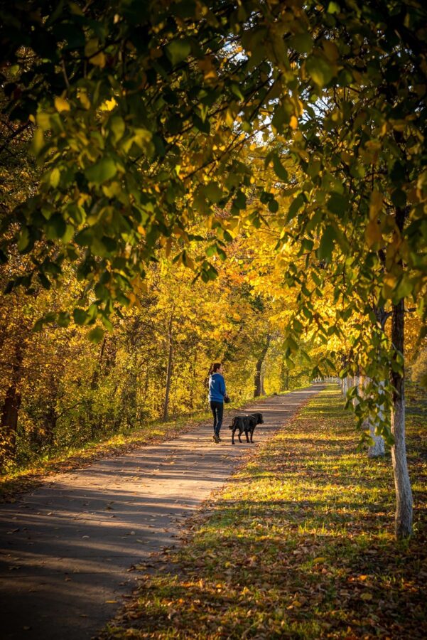 После снега в Тверскую область придет большое потепление