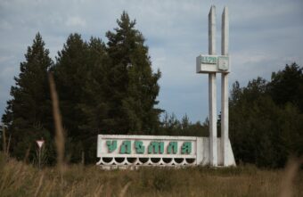 Жители Тверской области просят помочь найти кошку после операции  Жители Тверской области просят помочь найти кошку после операции