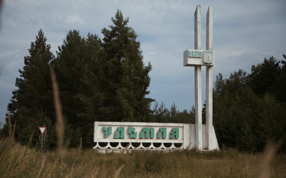 Жители Тверской области просят помочь найти кошку после операции 