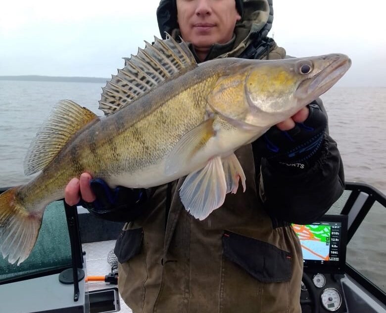 В Тверской области мужчина поймал гигантскую рыбу