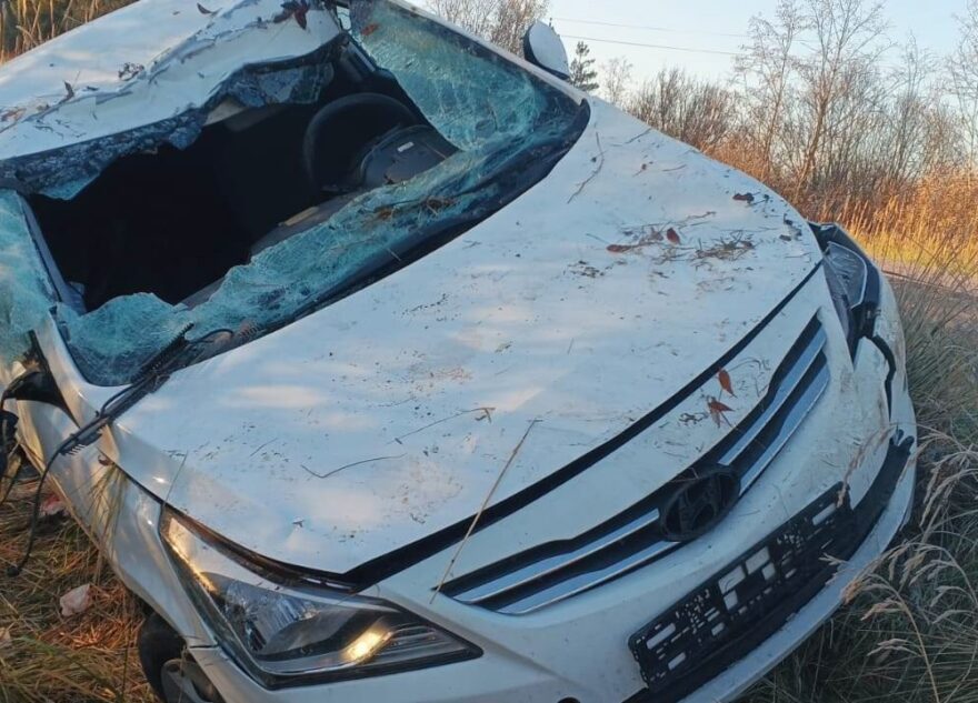 В Тверской области в ДТП с лосем пострадали мама и маленькая дочка
