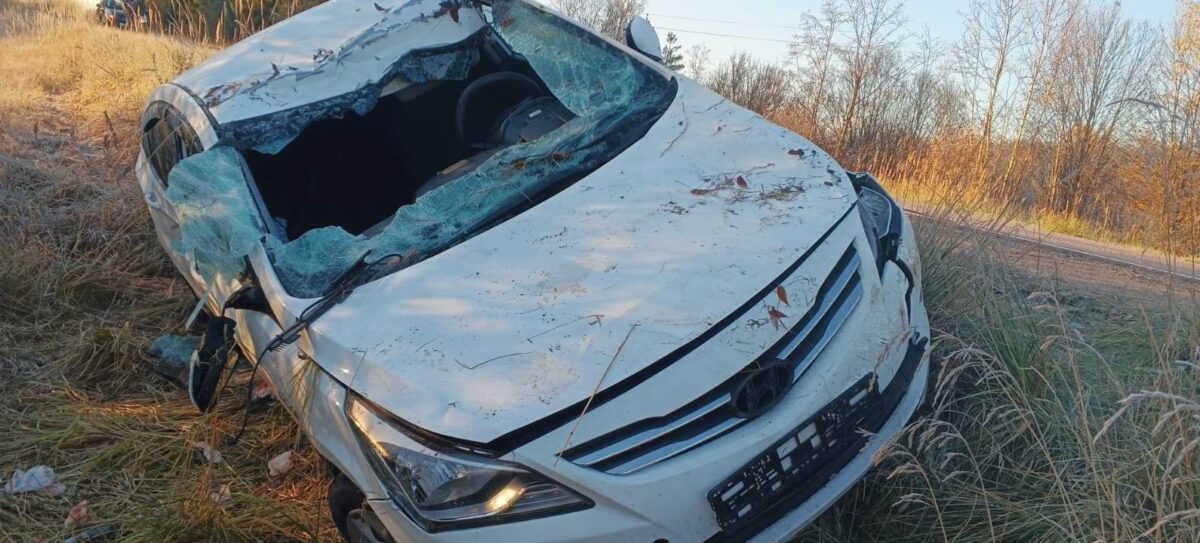 В Тверской области в ДТП с лосем пострадали мама и маленькая дочка