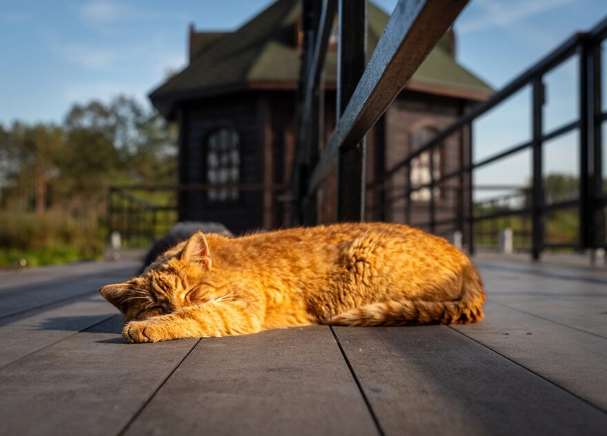 После потепления в Тверской области сильно похолодает