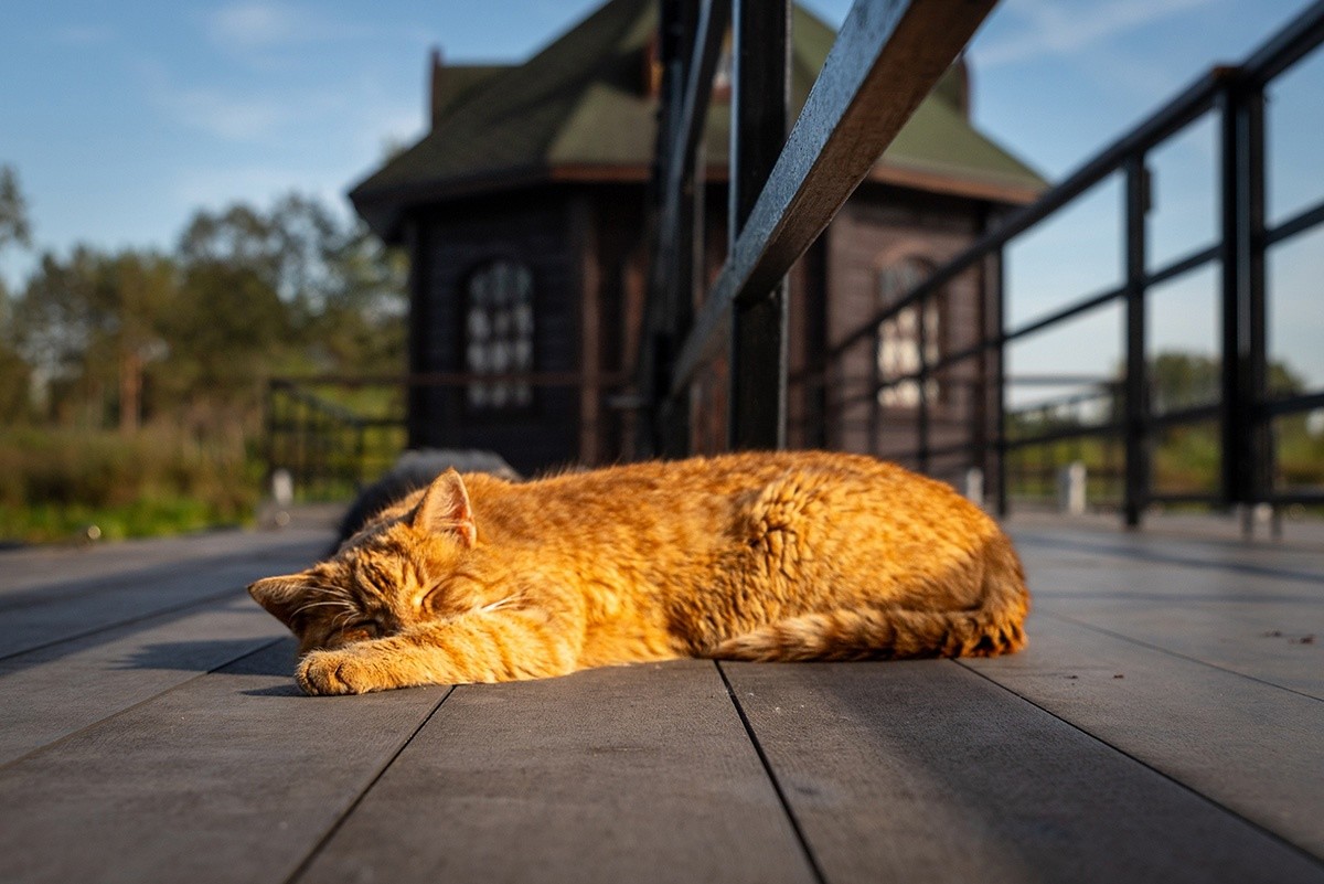 После потепления в Тверской области сильно похолодает