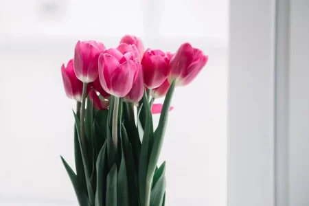 Губернатор поздравил со 101-летием ветерана Великой Отечественной войны Надежду Широкову Губернатор поздравил со 101-летием ветерана Великой Отечественной войны Надежду Широкову