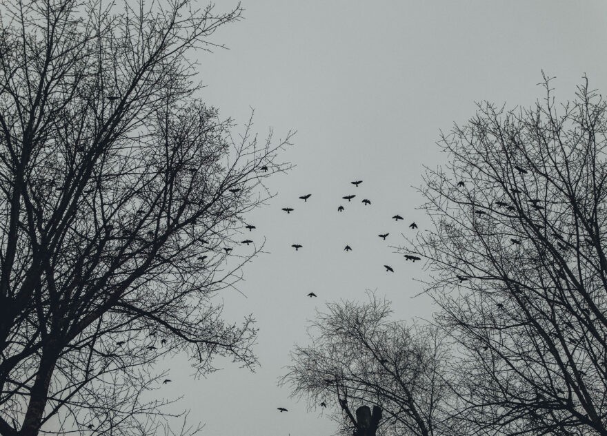 В Тверской области сильно испортится погода