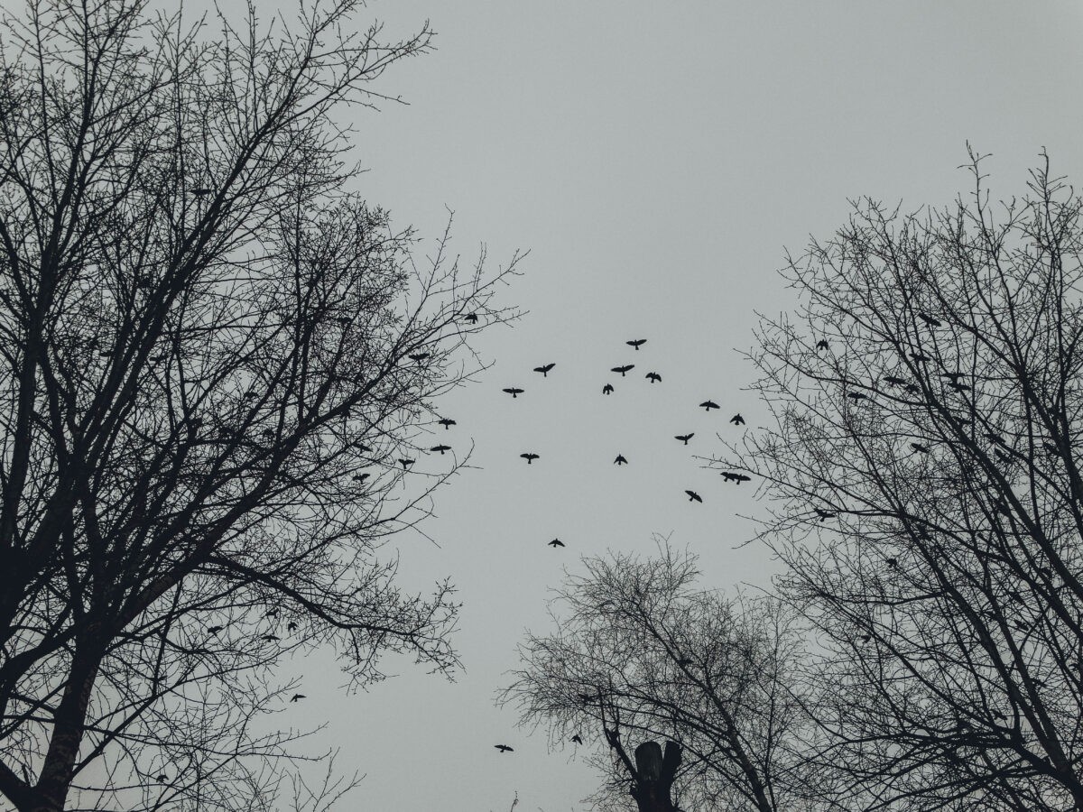 В Тверской области сильно испортится погода