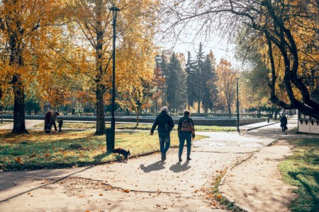 Синоптики рассказали, когда в Тверской области закончатся проливные дожди Синоптики рассказали, когда в Тверской области закончатся проливные дожди