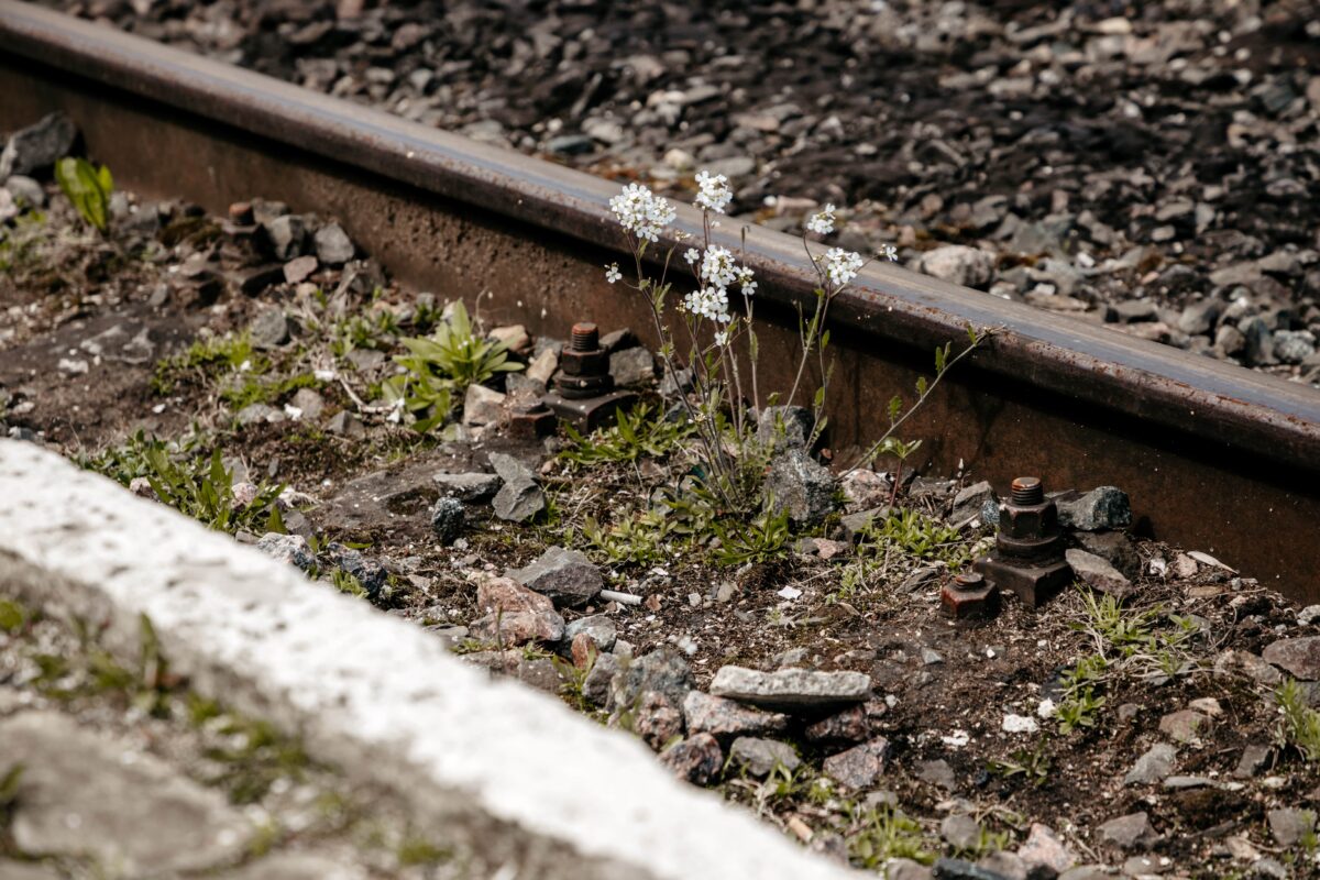 В Твери женщина погибла под колёсами поезда