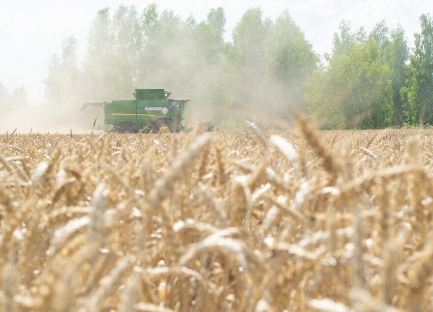 Игорь Руденя поздравил ветеранов и работников сельского хозяйства и перерабатывающей промышленности