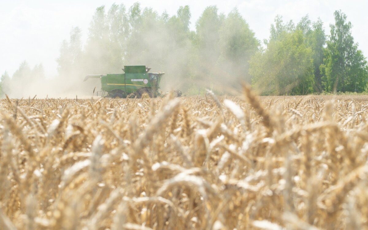 Игорь Руденя поздравил ветеранов и работников сельского хозяйства и перерабатывающей промышленности