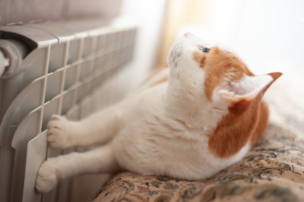 В ближайшие два дня отопление дадут на многих улицах Твери