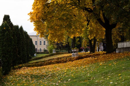 Известный метеоролог рассказал, когда в Тверской области наступит золотая осень Известный метеоролог рассказал, когда в Тверской области наступит золотая осень