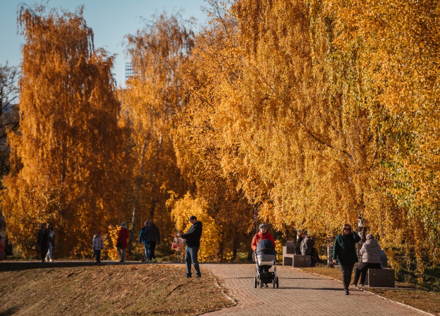 Синоптики рассказали, что в Тверскую область возвращается тепло и солнце Синоптики рассказали, что в Тверскую область возвращается тепло и солнце