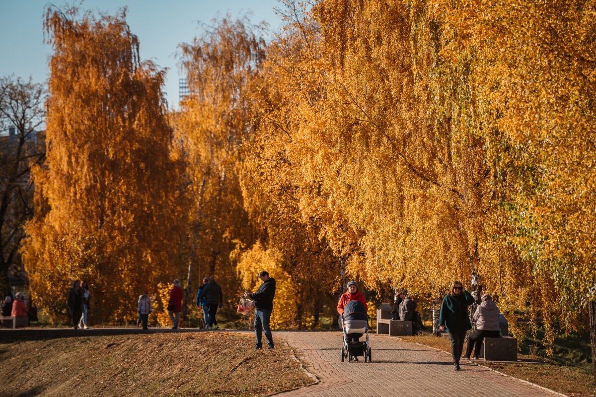Синоптики рассказали, что в Тверскую область возвращается тепло и солнце Синоптики рассказали, что в Тверскую область возвращается тепло и солнце