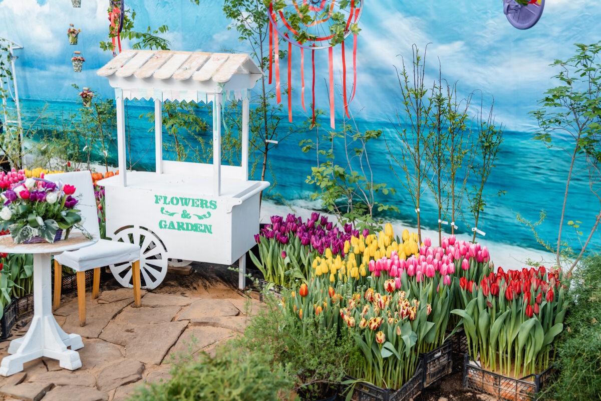 Жительница Воронежа заказала цветы в несуществующем в Тверской области магазине