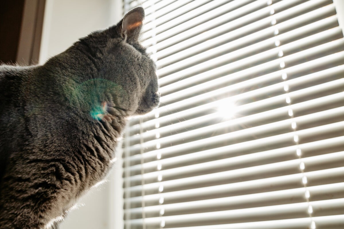 Психолог рассказала о 5 способах борьбы с осенней хандрой