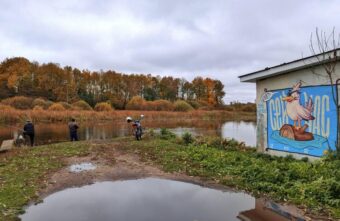 В Торопце появилось граффити с любопытной одноглазой чайкой В Торопце появилось граффити с любопытной одноглазой чайкой