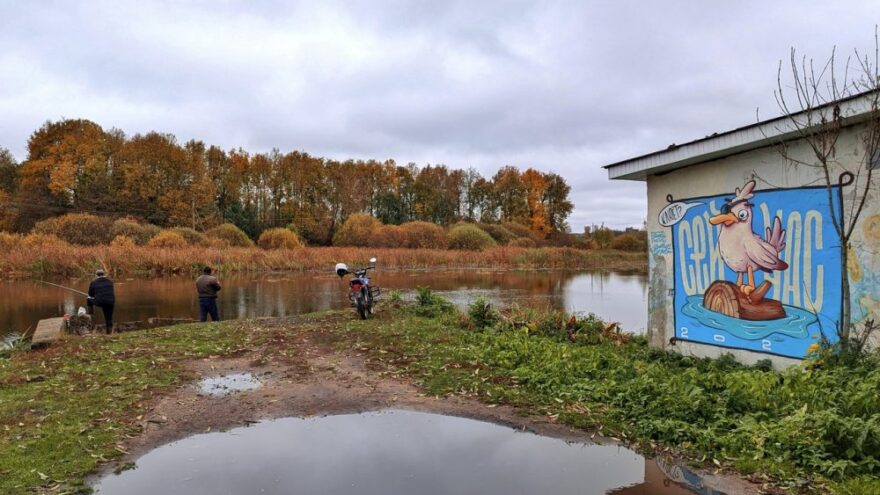В Торопце появилось граффити с любопытной одноглазой чайкой