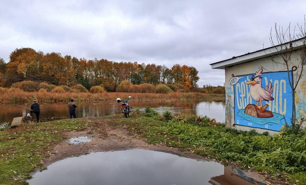 В Торопце появилось граффити с любопытной одноглазой чайкой В Торопце появилось граффити с любопытной одноглазой чайкой