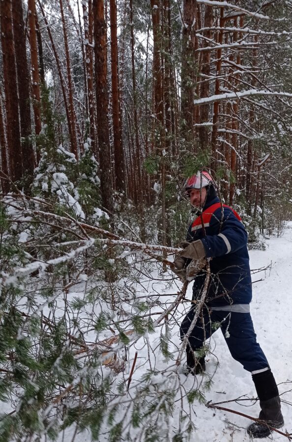 Энергетики сообщили, куда подавать заявки об отсутствии электроснабжения в Тверской области