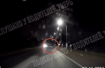 Крупное животное выскочило перед машиной на трассе в Тверской области