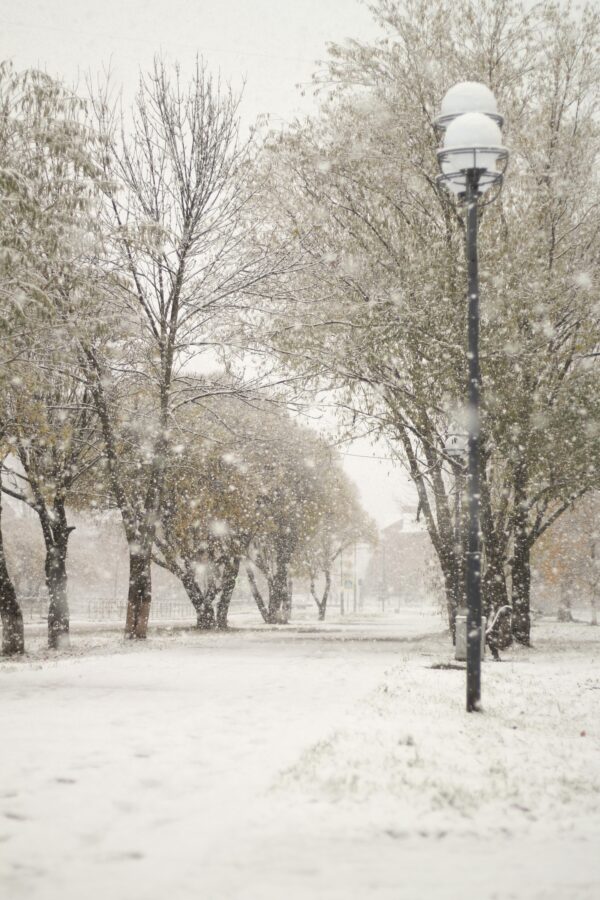 Город в Тверской области засыпало снегом