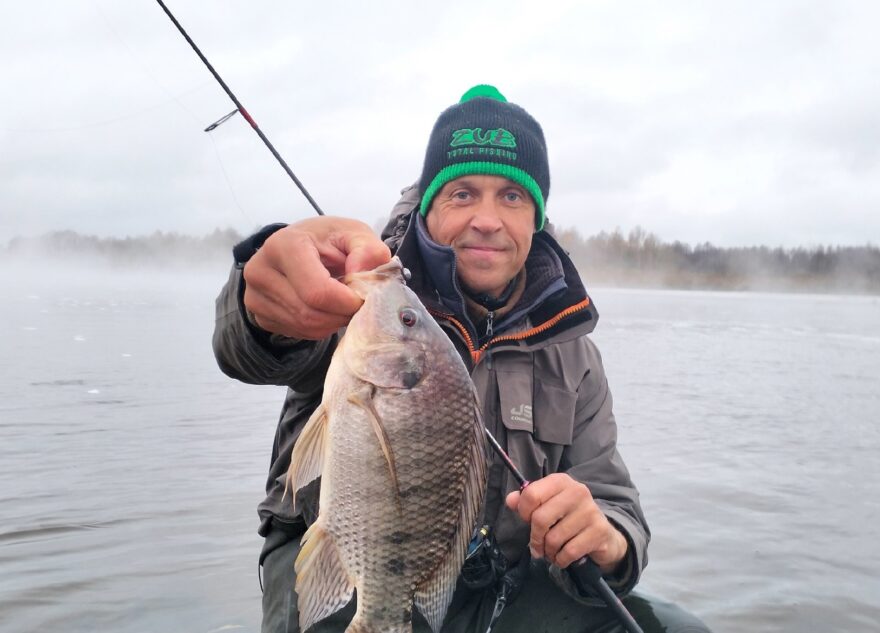 В Тверской области рыбак поймал очень большую тилапию