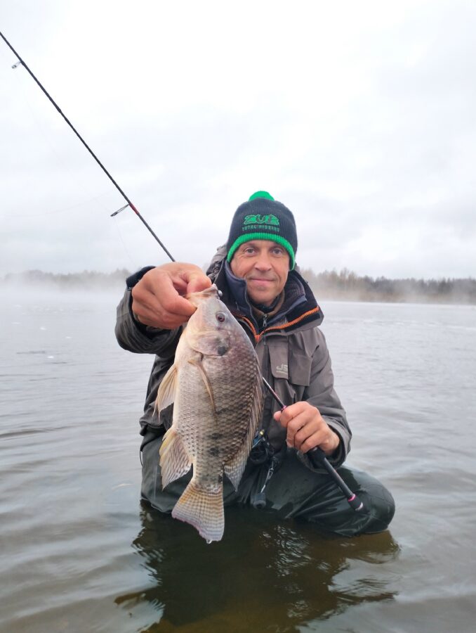 В Тверской области рыбак поймал очень большую тилапию В Тверской области рыбак поймал очень большую тилапию
