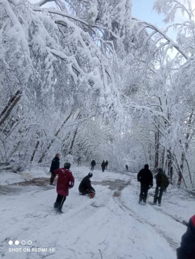 В Тверской области спорят, накажут ли жителей за расчистку дороги