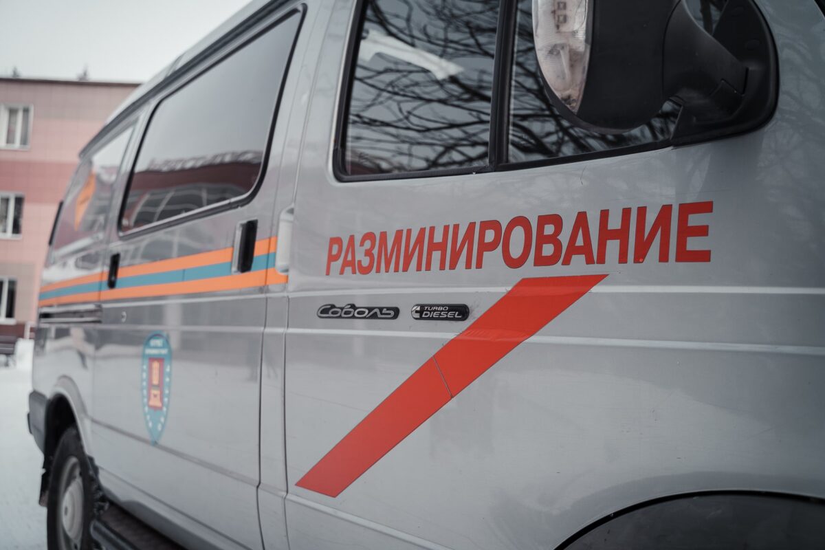 В деревне Тверской области обезвредили три мины