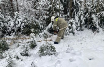 В Тверской области выполнен основной объём подключений потребителей к электроснабжению В Тверской области выполнен основной объём подключений потребителей к электроснабжению
