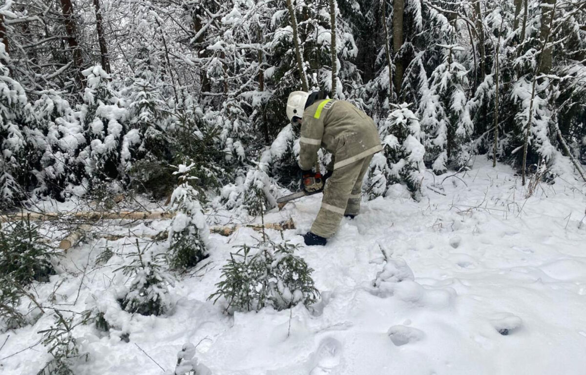 В Тверской области выполнен основной объём подключений потребителей к электроснабжению