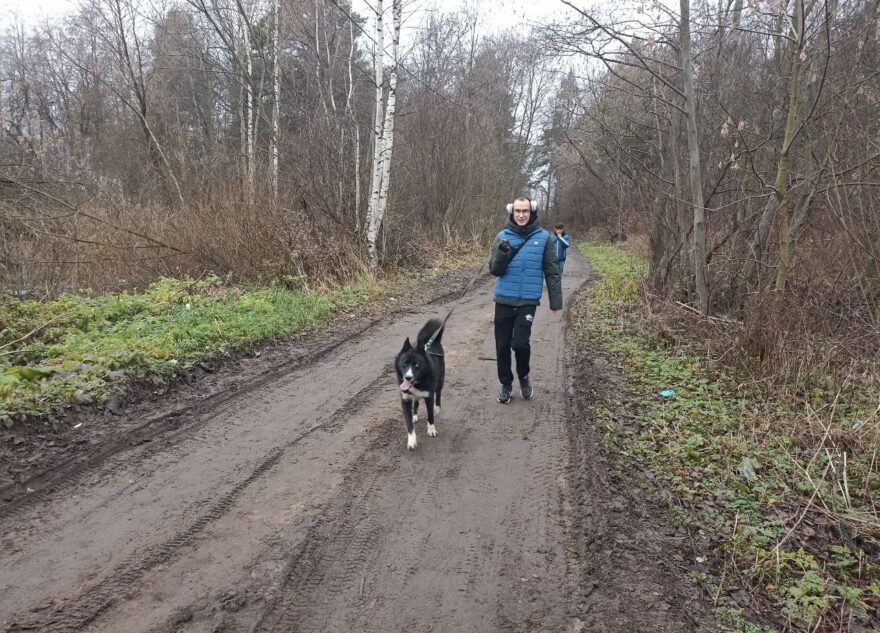 «Единая Россия» помогает ухаживать за бездомными животными