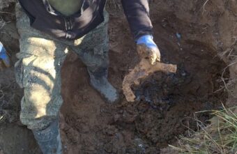 В Тверской области нашли место падения советского самолета В Тверской области нашли место падения советского самолета