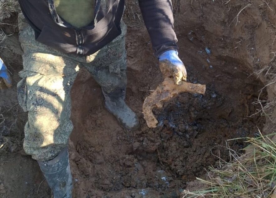 В Тверской области нашли место падения советского самолета