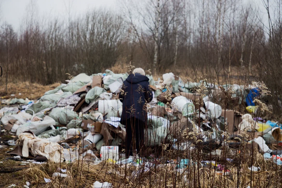 Две свалки площадью 2,8 гектара обнаружили в Тверской области