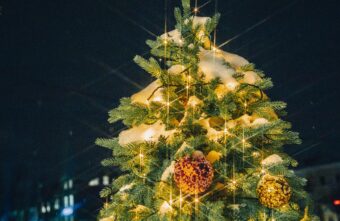 Синоптики дали предварительный прогноз на новогоднюю ночь в Тверской области Синоптики дали предварительный прогноз на новогоднюю ночь в Тверской области
