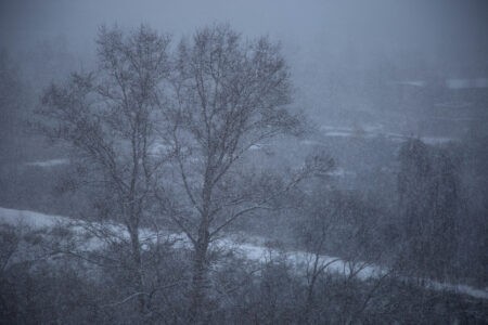 На Тверскую область в ближайшие часы обрушатся ураганный ветер и мокрый снег