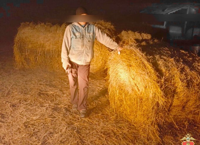 В Тверской области парочка украла с фермы 46 рулонов сена