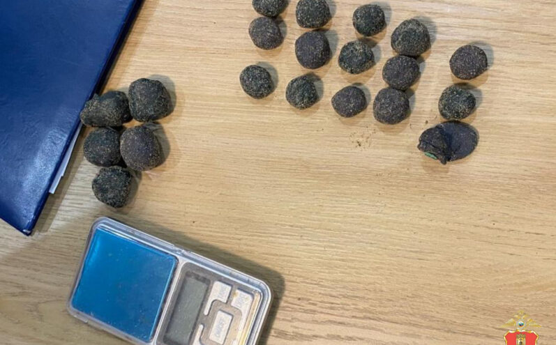 В Твери мужчина выращивал дома наркотики на продажу