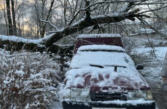 В Твери огромное дерево рухнуло на машину В Твери огромное дерево рухнуло на машину