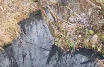 В Тверской области Волгу заливают канализационные нечистоты