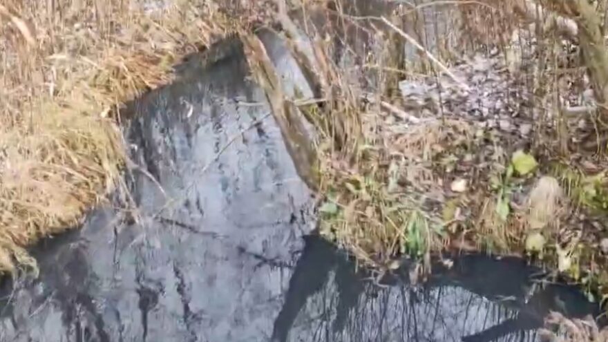 В Тверской области Волгу заливают канализационные нечистоты