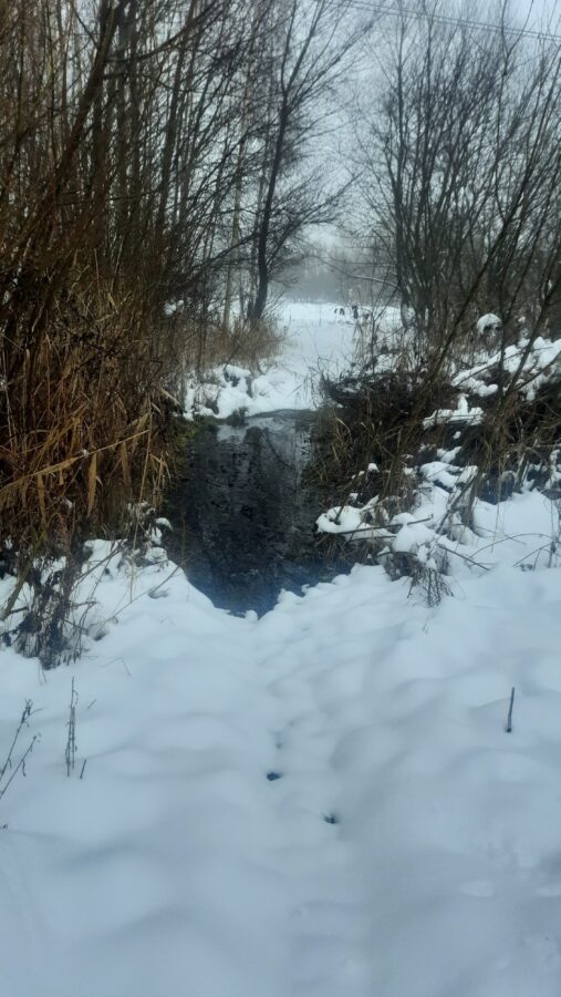 В Тверской области несколько дней не могут устранить прорыв канализации В Тверской области несколько дней не могут устранить прорыв канализации