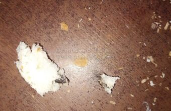 Крысиный помёт нашли в тверском хлебе жители региона Крысиный помёт нашли в тверском хлебе жители региона